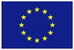 flag_yellow_low